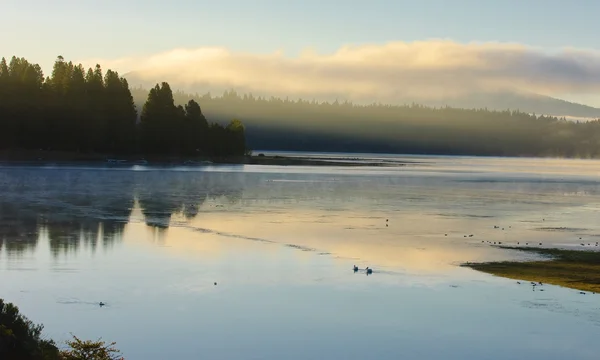 Туманное утро на озере Алманор — стоковое фото