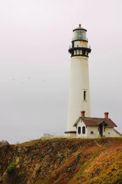 Pigeon Point Lighthouse — Stock Photo, Image