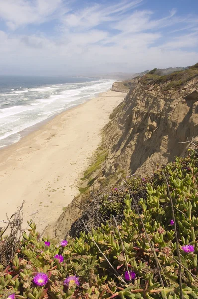 Desertado litoral norte da Califórnia — Fotografia de Stock