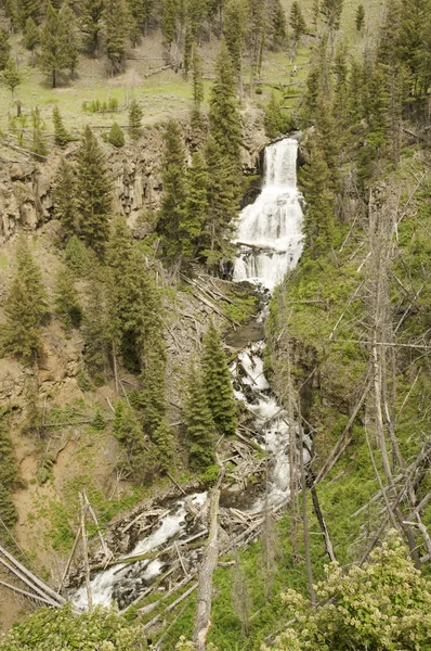 Scenic waterfall in Yellowstone — Stock Photo, Image