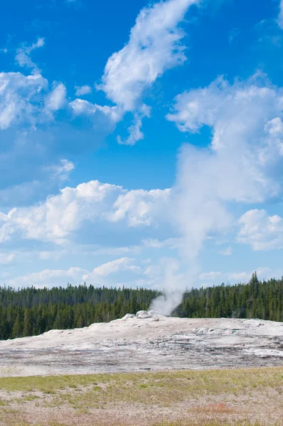 Yellowstone National Park — Stock Photo, Image