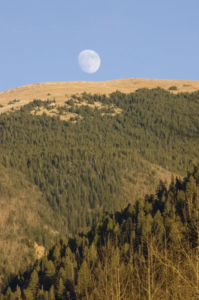 stock image Moonrise over New Mexico