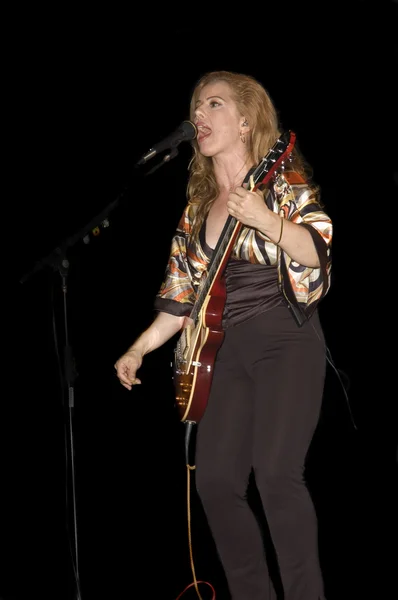 Cantante-guitarrista tocando en concierto en vivo — Foto de Stock