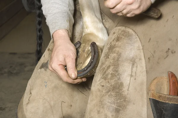 Фермер, работающий на конской обуви — стоковое фото