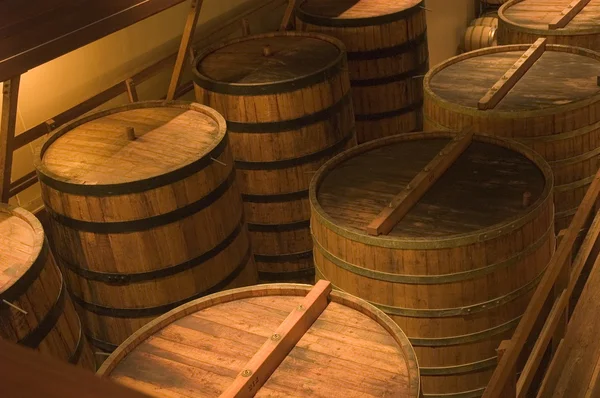 Barrels in the winery — Stock Photo, Image