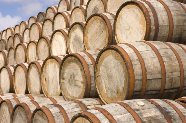 Barrels in the distillery — Stock Photo, Image