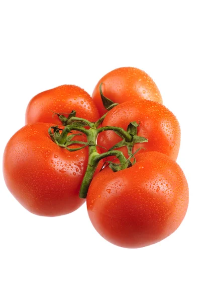 Um monte de tomate. — Fotografia de Stock