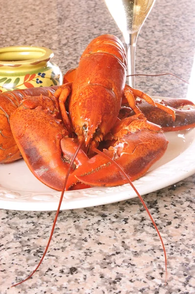 Fresh cooked lobster — Stock Photo, Image