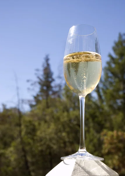 Игристое вино в стакане, купающемся в лучах солнца и готовом пить — стоковое фото