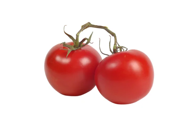 Čerstvé červené zralé rajče — Stock fotografie