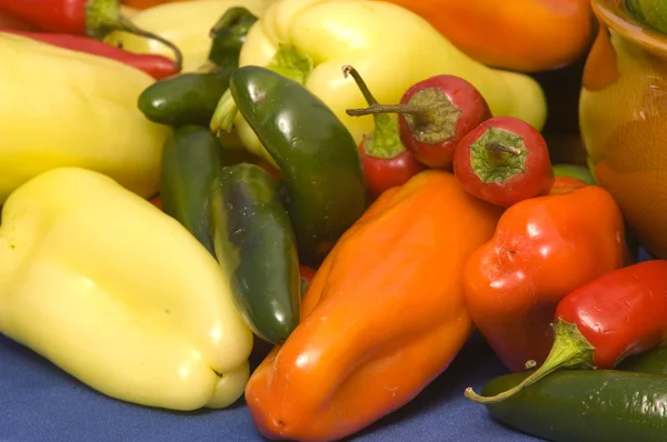Tigela de pimentas multicoloridas — Fotografia de Stock