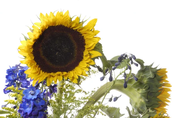 Sonnenblume in einem Strauß — Stockfoto