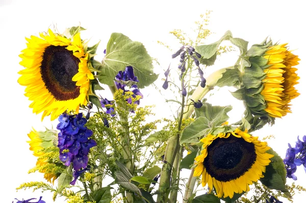 Sonnenblume in einem Strauß — Stockfoto
