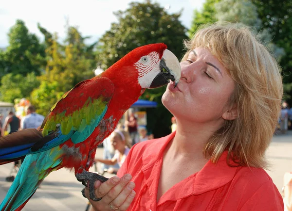 Nő piros papagájjal — Stock Fotó