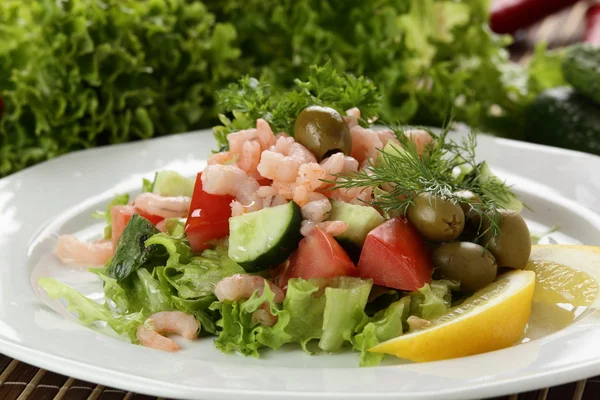 Tasty salad in white dish — Stock Photo, Image