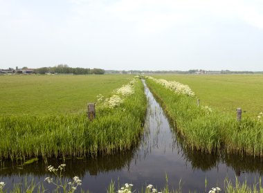 Hollanda'da hendek