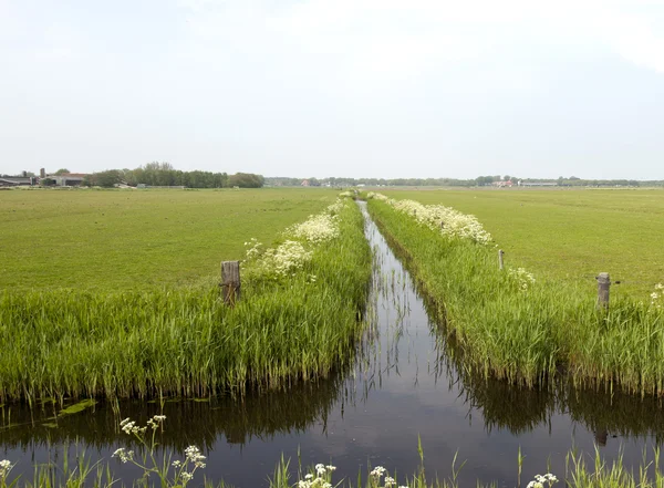 stock image Ditch in holland