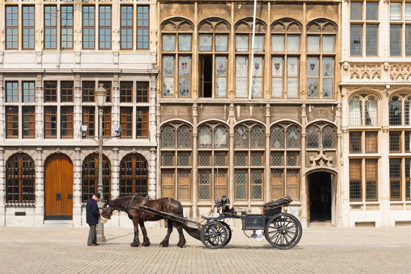 Antwerp Grote Markt Horse Buggy Driver Guildhouse — Stock Photo, Image