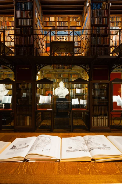 Hendrik Coscienza Patrimonio Biblioteca Stack — Foto Stock