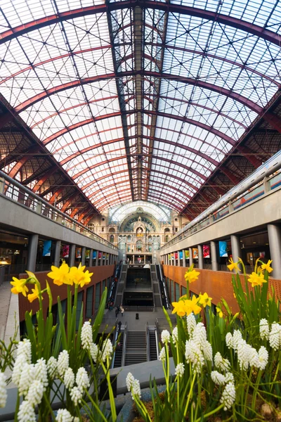 Antwerpen central trein station glazen plafond — Stockfoto
