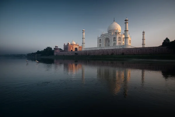 Jamuna River Birds Sunset Taj Mahal India — Stock Photo, Image