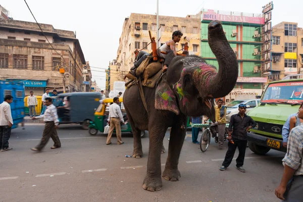 ダウンタウンのデリー交通象インドを引き起こす — ストック写真