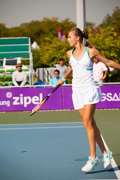 Coupe de revers Magdalena Rybarikova — Photo