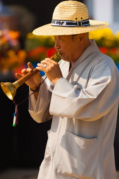 Traditionele Koreaanse reed instrument taepyeongso — Stockfoto