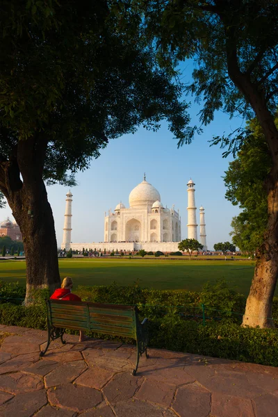 Taj Mahal Trees Footpath Green Bushes Framed V — Stock Photo, Image