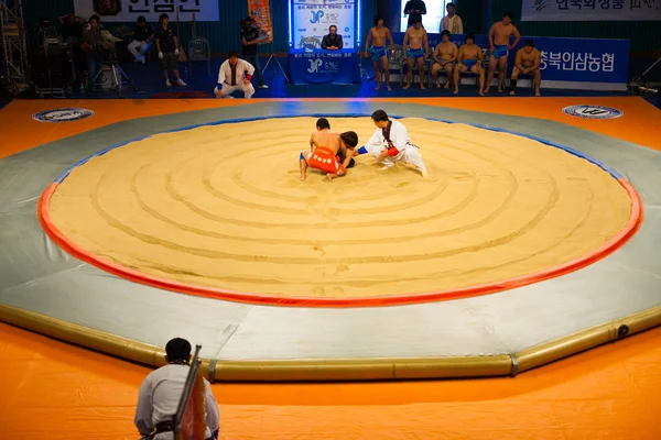 Korean Wrestling Ssireum Aerial Ring Start — Stock Photo, Image