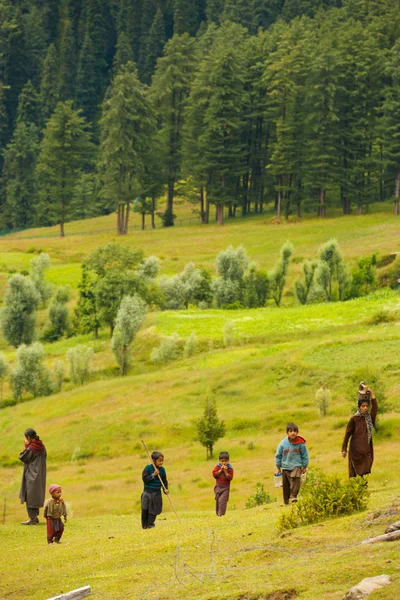 Κασμίρ τσιγγάνων goatherders περπάτημα λόφο — Φωτογραφία Αρχείου