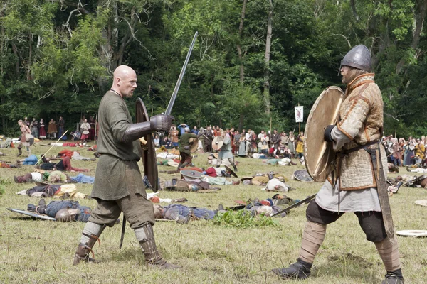 Борьба с викингами — стоковое фото