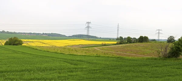 Pylons de energia no campo — Fotografia de Stock