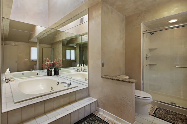 Banho principal com banheira espelhada — Fotografia de Stock