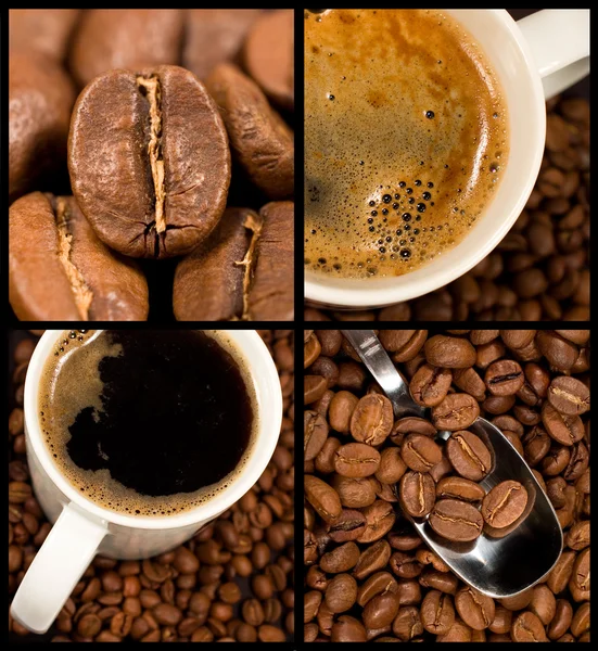 Raccolta di caffè — Foto Stock