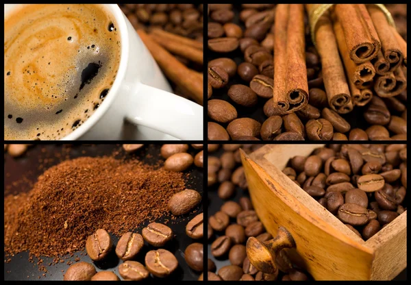 Zbiory kawy — Zdjęcie stockowe