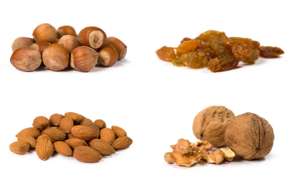 Nuts collection — Stock Photo, Image