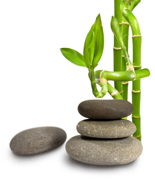 Stones and bamboo — Stock Photo, Image