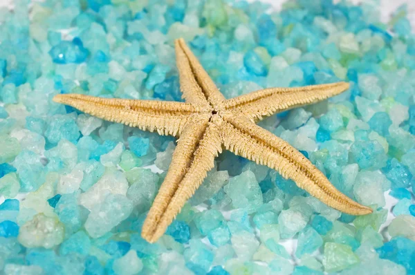 Starfish and mineral salts — Stock Photo, Image