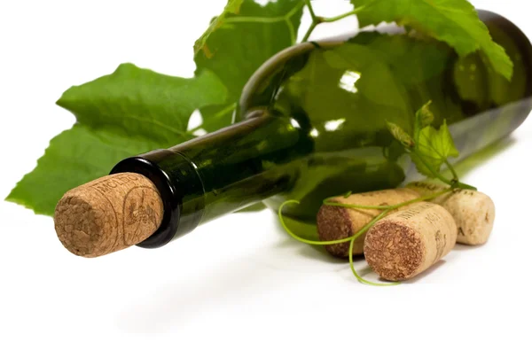 stock image Wine bottle and a vine