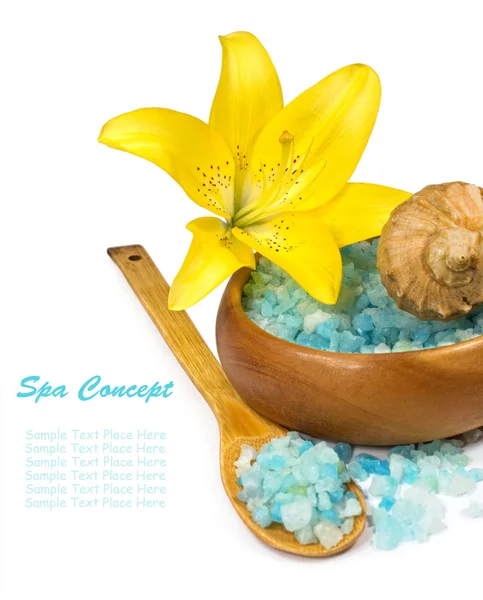 Spa concept with copy-space — Stock Photo, Image