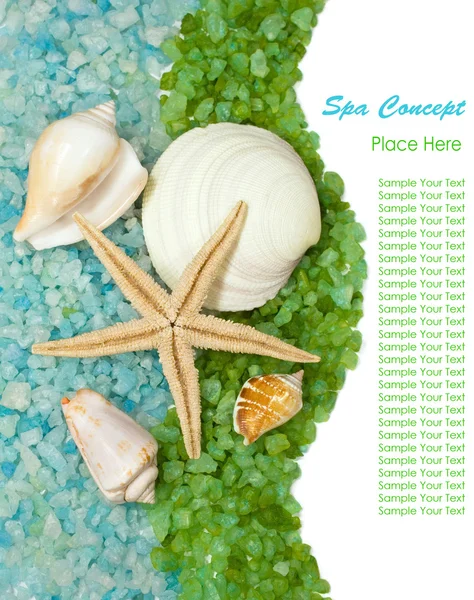 Háttérrel, tengeri só és tengeri kagyló — Stock Fotó