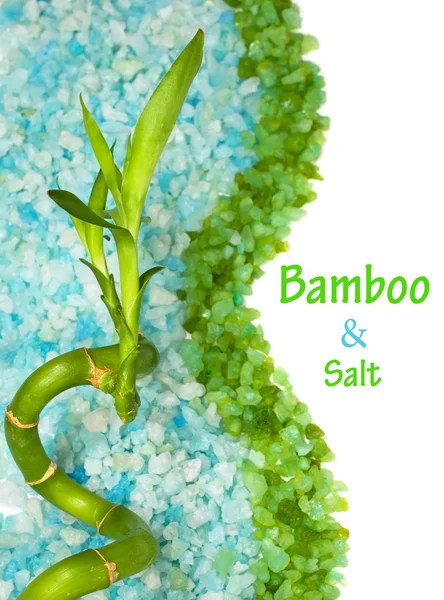 Bambu och havssalt — Stockfoto