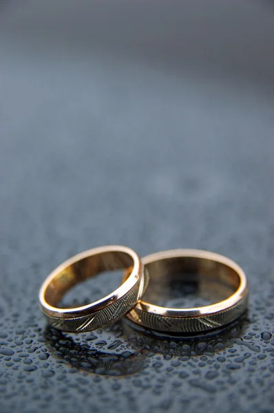 stock image Wedding rings