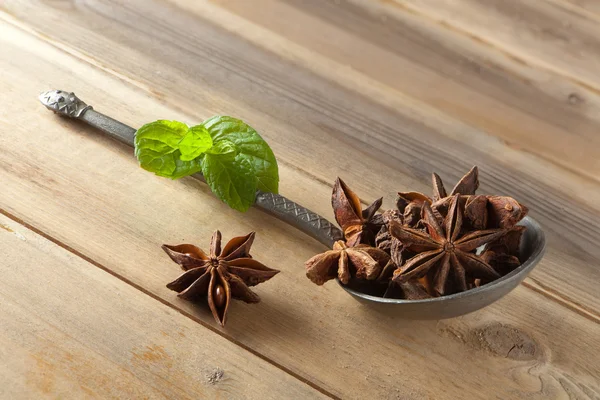 Star anise on a spoon — Stock Photo, Image