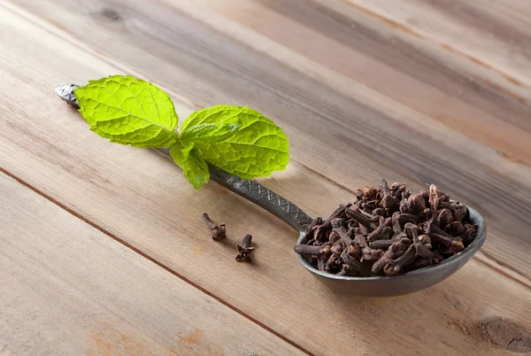 Cloves spices and mint — Stock Photo, Image