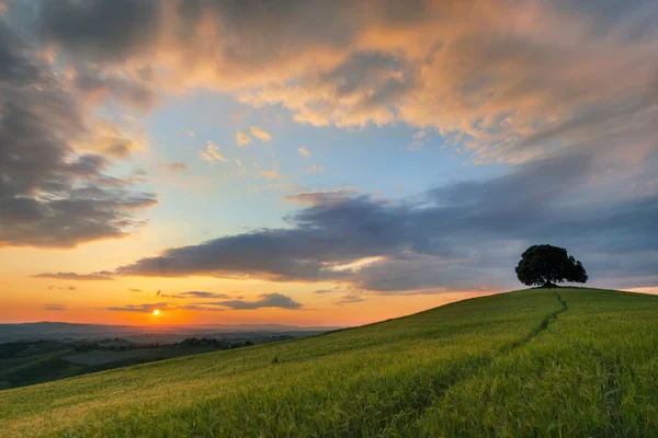 Pôr do sol vibrante sobre a Toscana — Fotografia de Stock