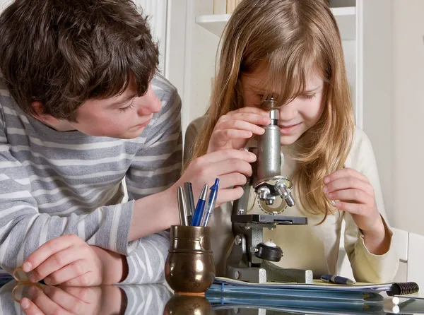 아이 들을 위한 과학 — 스톡 사진