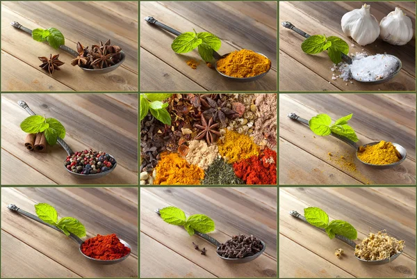 Keuze van kruiden en specerijen — Stockfoto