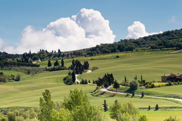 Vägarna i Toscana — Stockfoto